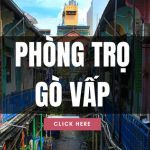Thuê Căn Hộ - Phòng trọ Gò Vấp