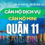 Quận 11 Cho thuê Căn Hộ Mini, CHDV Full Nội Thất HCM