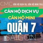 Quận 7 Cho thuê Căn Hộ Mini, CHDV Full Nội Thất HCM
