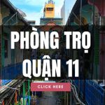 Thuê Căn hộ Phòng trọ Quận 11